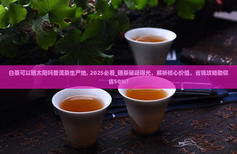 白茶可以晒太阳吗普洱茶生产地
