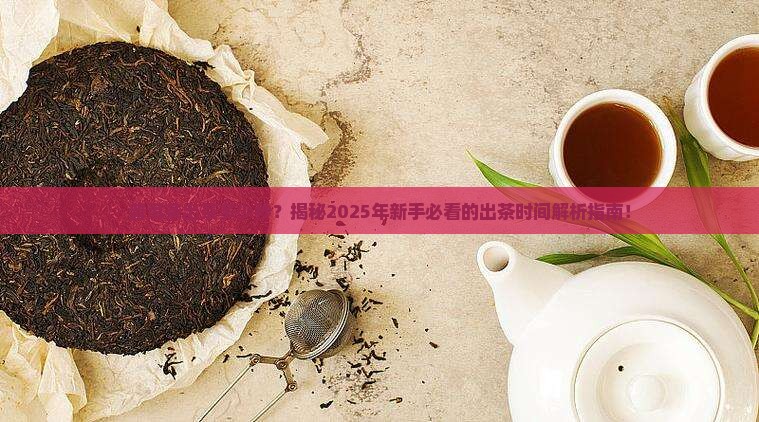 普洱茶出茶多少秒