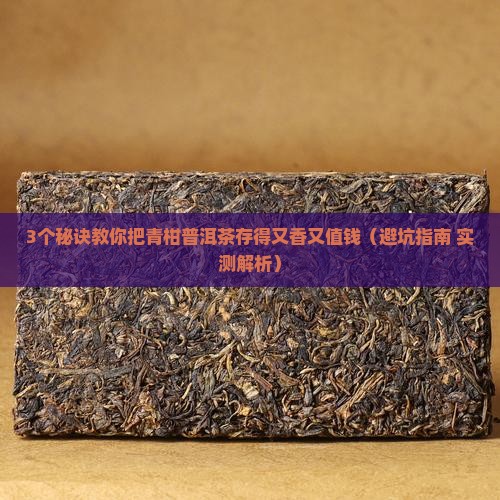 青柑普洱茶怎样存放比较好
