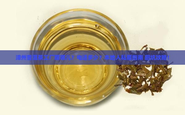 漳州普洱茶工厂地址电话
