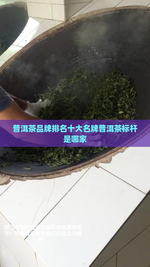 普洱茶的标杆是哪家