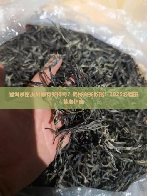 普洱茶密度是多少