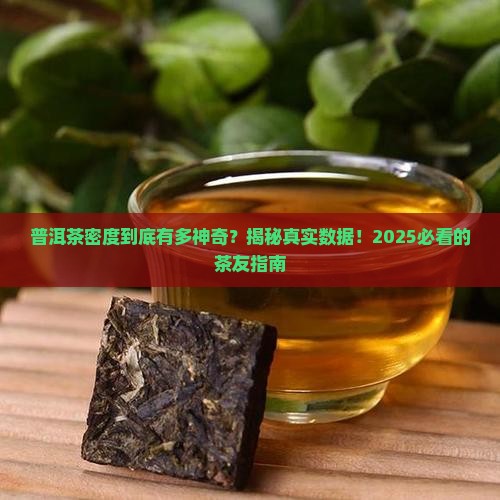 普洱茶密度是多少