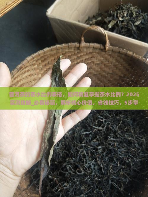 普洱茶的茶水比例表格