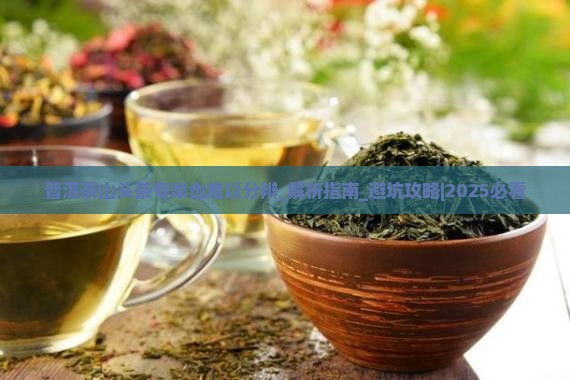 普洱茶山头茶专家也难以分辨