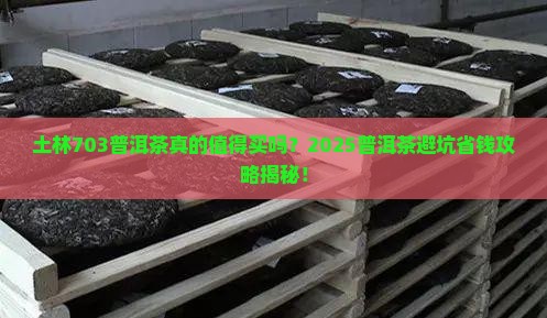 土林703普洱茶