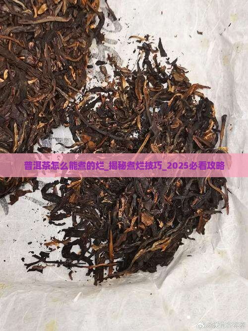 普洱茶怎么能煮的烂