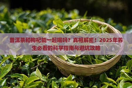 普洱茶和枸杞能