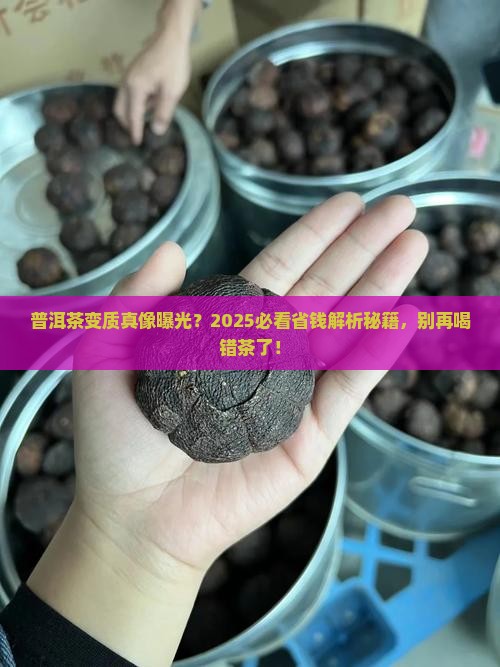 普洱茶变质是怎么分辨