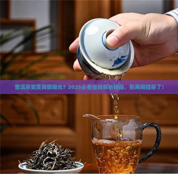 普洱茶变质是怎么分辨