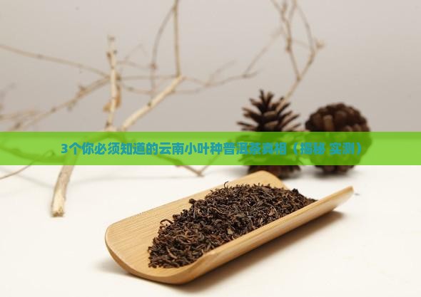 云南小叶种普洱茶的特点