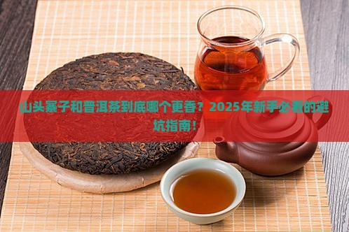 山头寨子和普洱茶哪个好