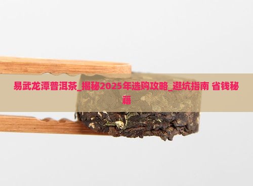 易武龙潭普洱茶