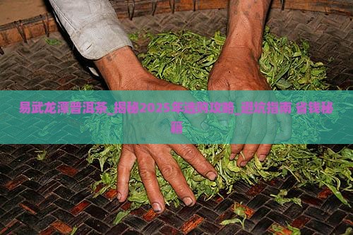 易武龙潭普洱茶