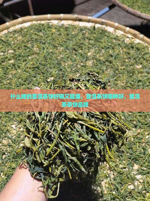 什么牌的普洱茶饼好