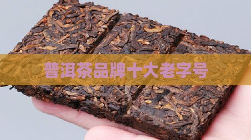 普洱茶中国老字号 普洱茶中国老字号