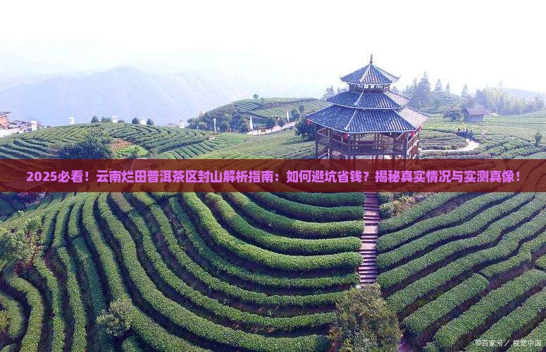 云南烂田普洱茶区封山 云南烂田普洱茶区封山