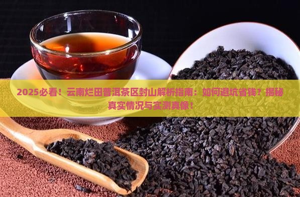 云南烂田普洱茶区封山 云南烂田普洱茶区封山