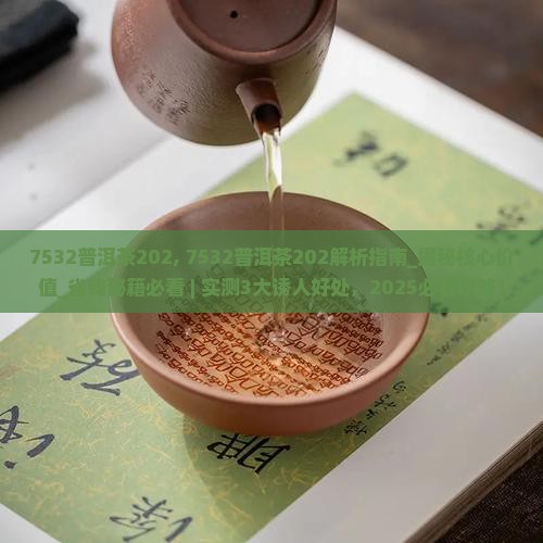 7532普洱茶202
