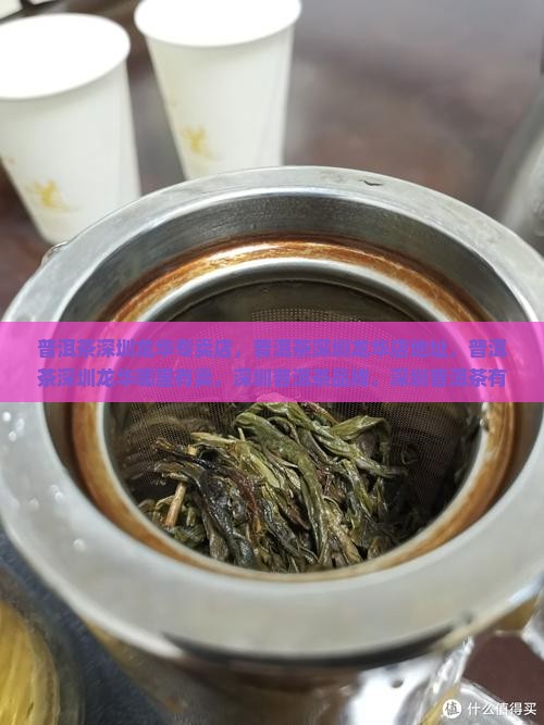 普洱茶深圳龙华 普洱茶深圳龙华