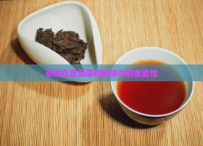 芽叶梗和普洱茶的关系