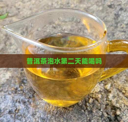 普洱茶泡水第二天能喝吗