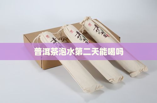 普洱茶泡水第二天能喝吗