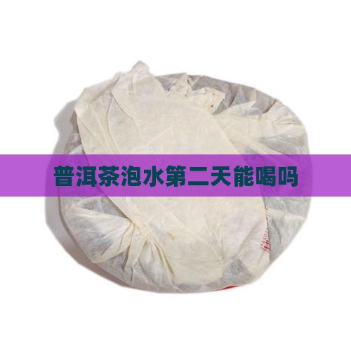 普洱茶泡水第二天能喝吗