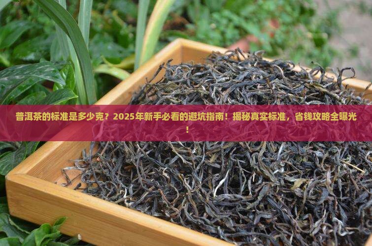 普洱茶的标准是多少克