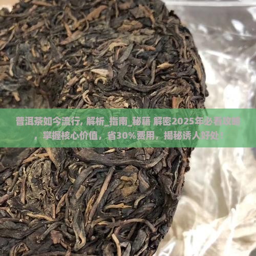 普洱茶如今流行