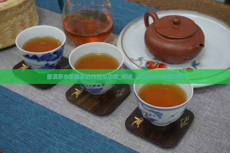普洱茶中茶圆茶的作用与功效