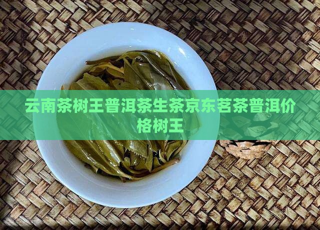 云南茶树王普洱茶生茶