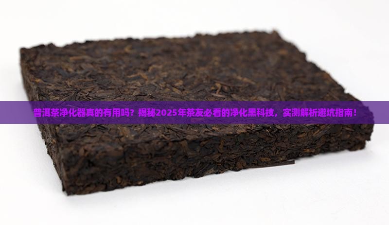普洱茶净化器真的有用吗