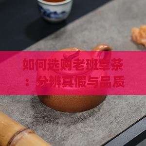 如何选购老班章茶
