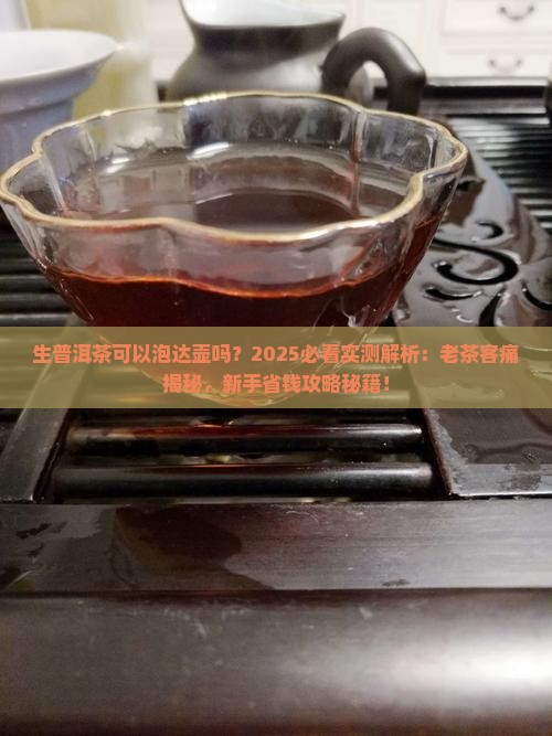 生普洱茶可以泡达壶吗