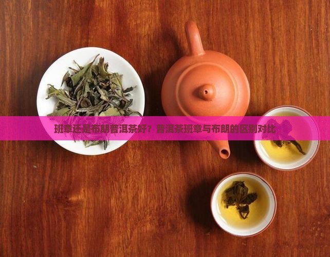 班章好还是布朗普洱茶好