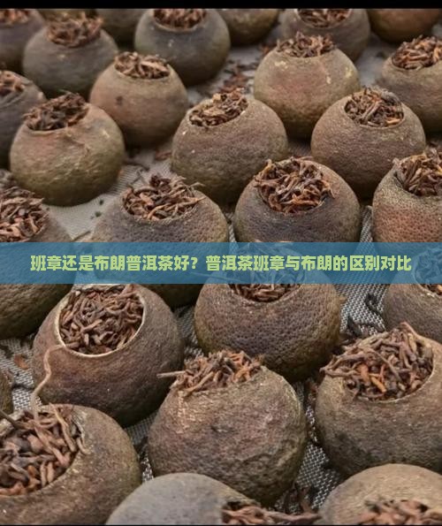 班章好还是布朗普洱茶好