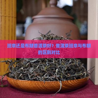 班章好还是布朗普洱茶好