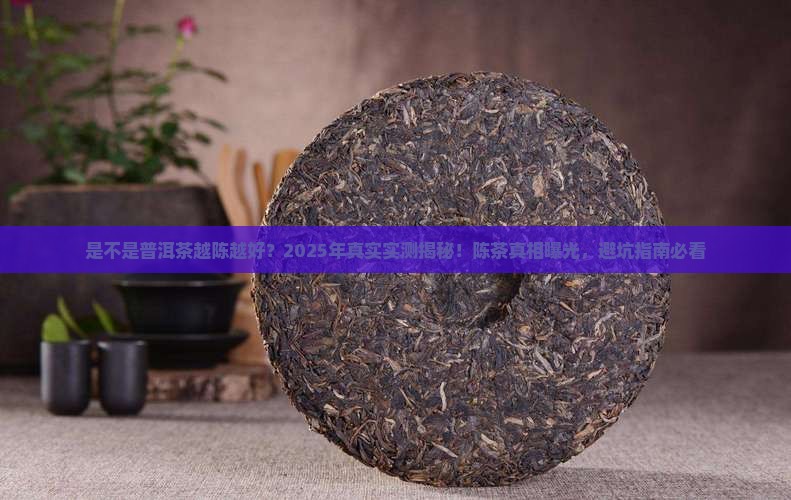 是不是普洱茶越陈越好