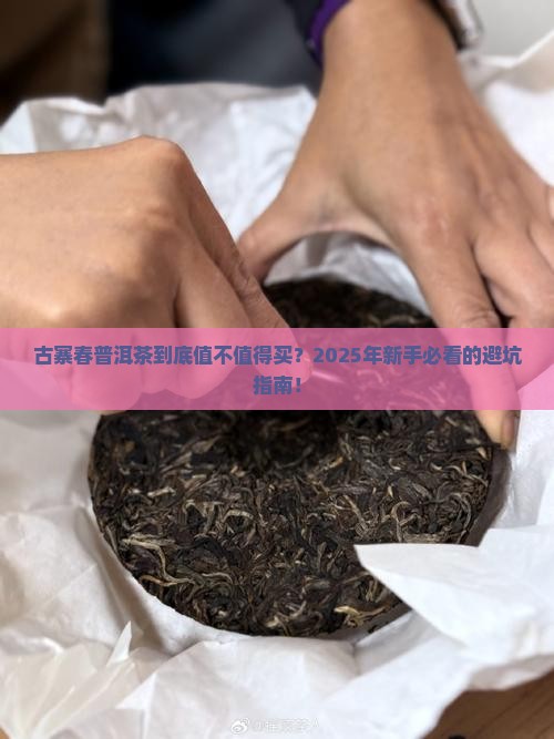 古寨春普洱茶好吗