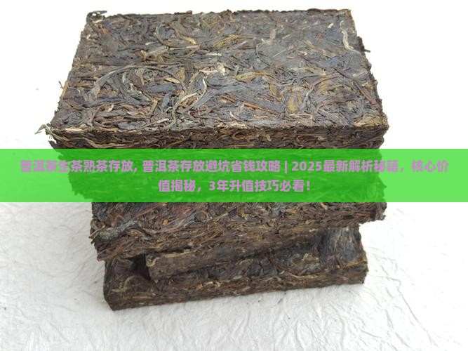 普洱茶生茶熟茶存放