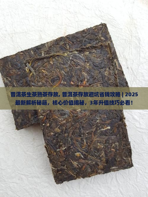 普洱茶生茶熟茶存放