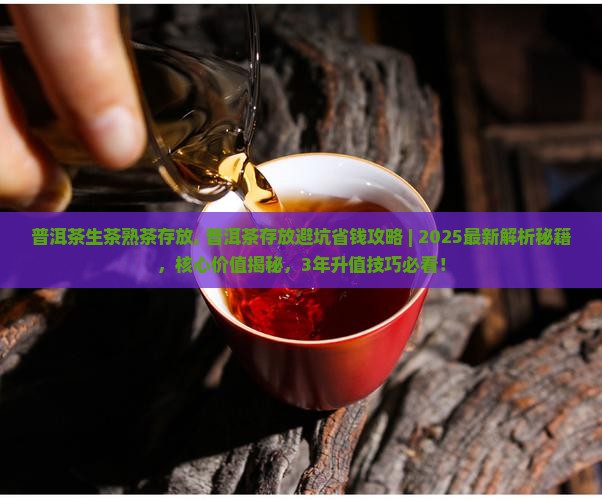 普洱茶生茶熟茶存放
