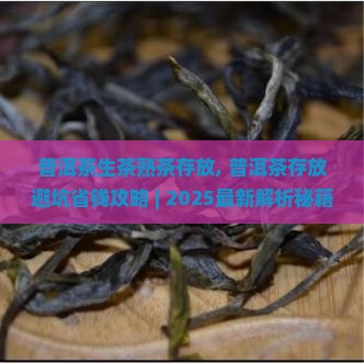 普洱茶生茶熟茶存放