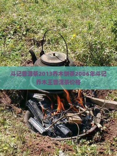 斗记普洱茶2013乔木饼茶