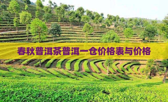 醉春秋普洱茶老树一仓
