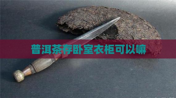 普洱茶存卧室衣柜可以嘛