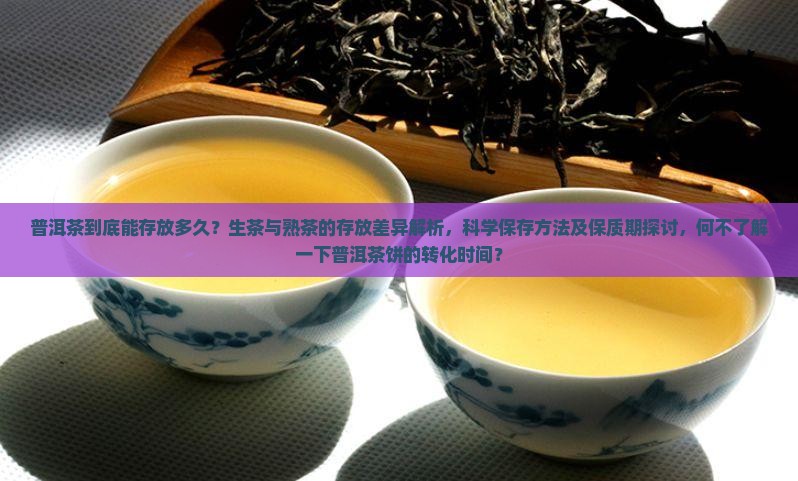 普洱茶到底能存放多久