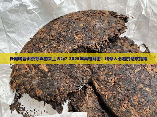 长期喝普洱茶芽上火