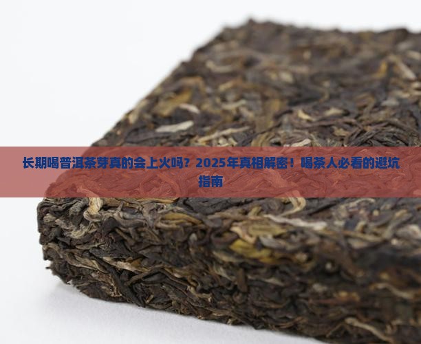 长期喝普洱茶芽上火